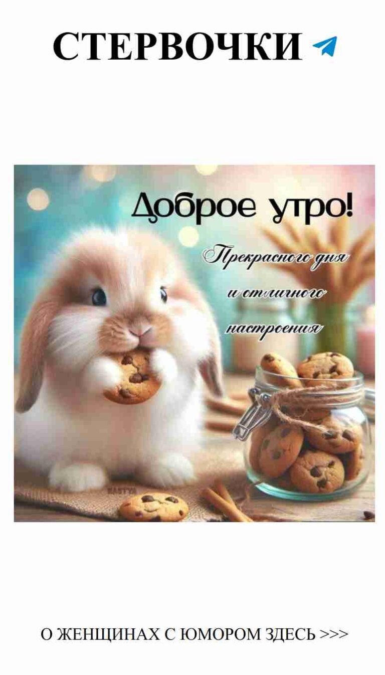 Заяц на диете: как угощения мешают нашей любви