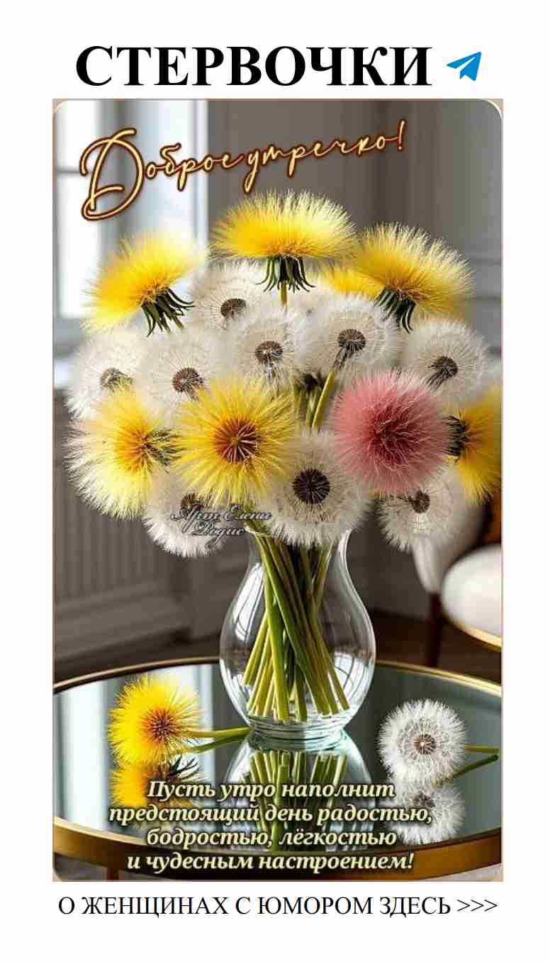 Любовь с юмором: искренние моменты и смешные ситуации