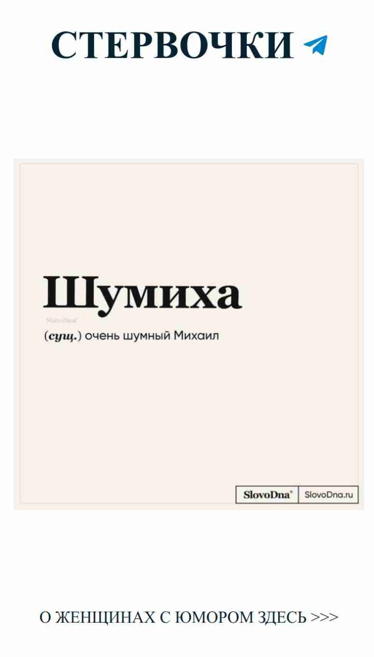 Моя жизнь, моя любовь, моя веселая группа