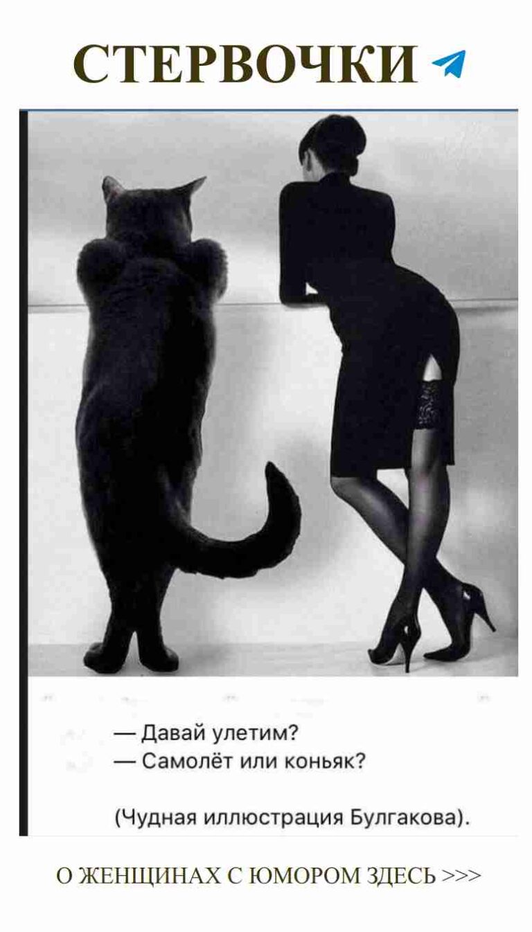 Что она имела в виду с черным котом?