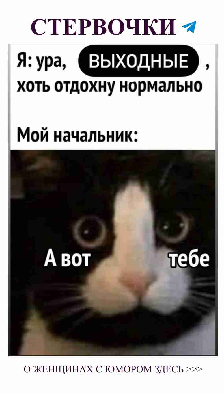 Кот в черно-белом цвете: Не пропусти улыбку – веселая любовь