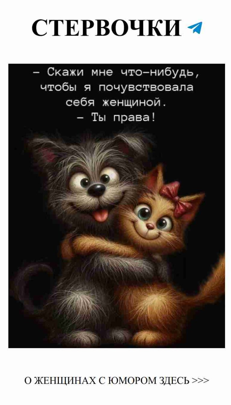 Коты, собака и любовь: смех и радость в жизни