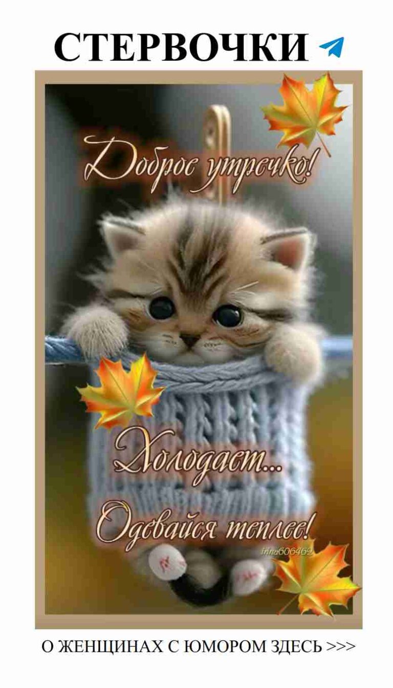 Милашка в свитере с именем для тепла и любви