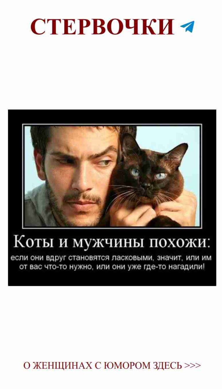 Когда любишь, даже кота не видно за эмоциями