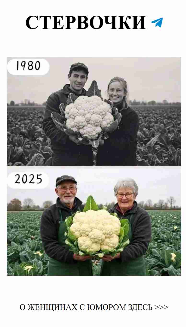 Любовь и юмор: вместе через все этапы жизни