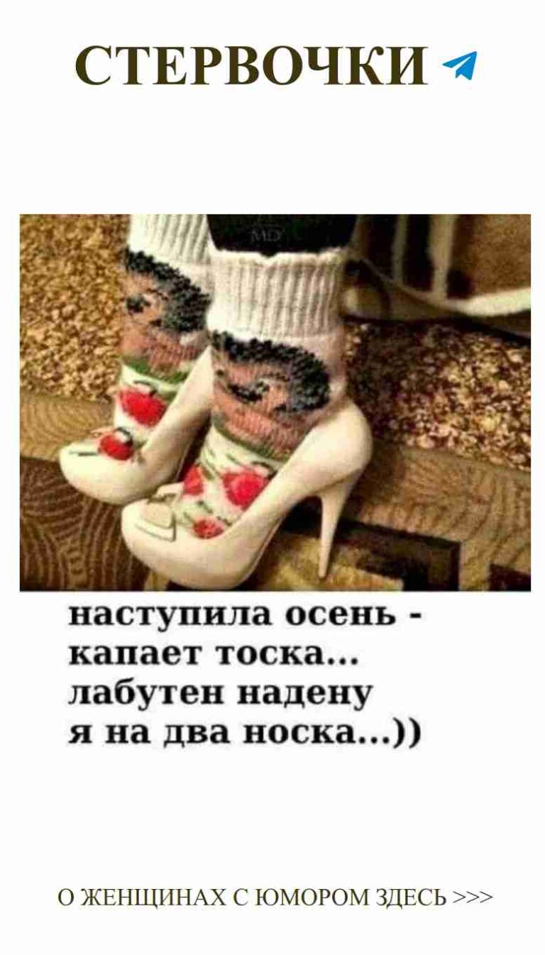 Розы на носках: любовь и юмор на каждом шагу