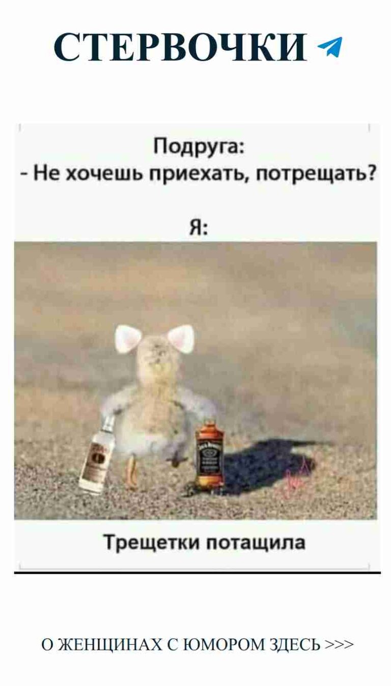 Когда мышка встретила бутылку: смешные моменты любви