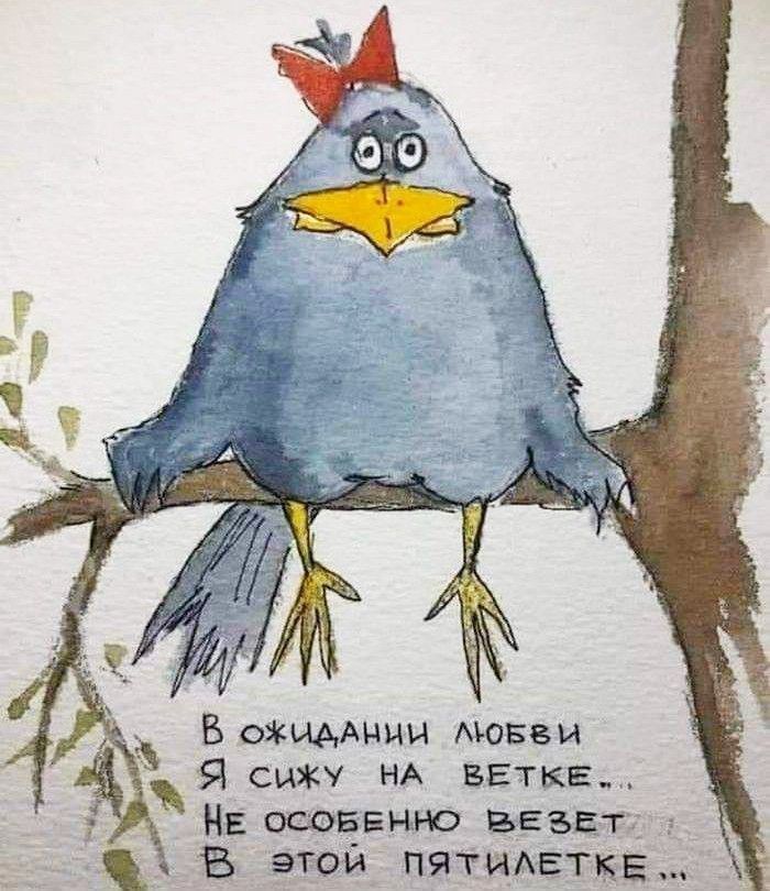 В ожидании любви я сижу на ветке (открытка 1406): Бесплатные картинки • Открытки Топ