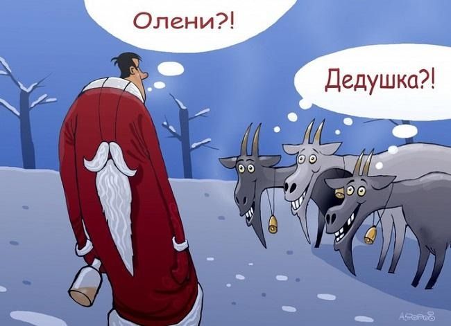 Свежие анекдоты и шутки на 14 января 2024 года