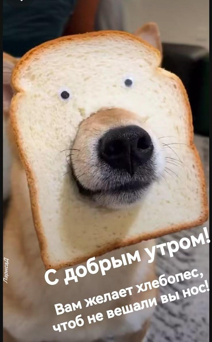 доброе утро 🌞🌞🌞🌞