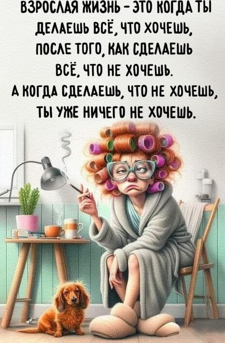 ВЗРОСЛАЯ ЖИЗНЬ – ЭТО КОГДА ТЫ ДЕЛАЕШЬ ВСЁ, ЧТО ХОЧЕШЬ, ПОСЛЕ ТОГО, КАК СДЕЛАЕШЬ ВСЁ, ЧТО НЕ ХОЧЕШ…