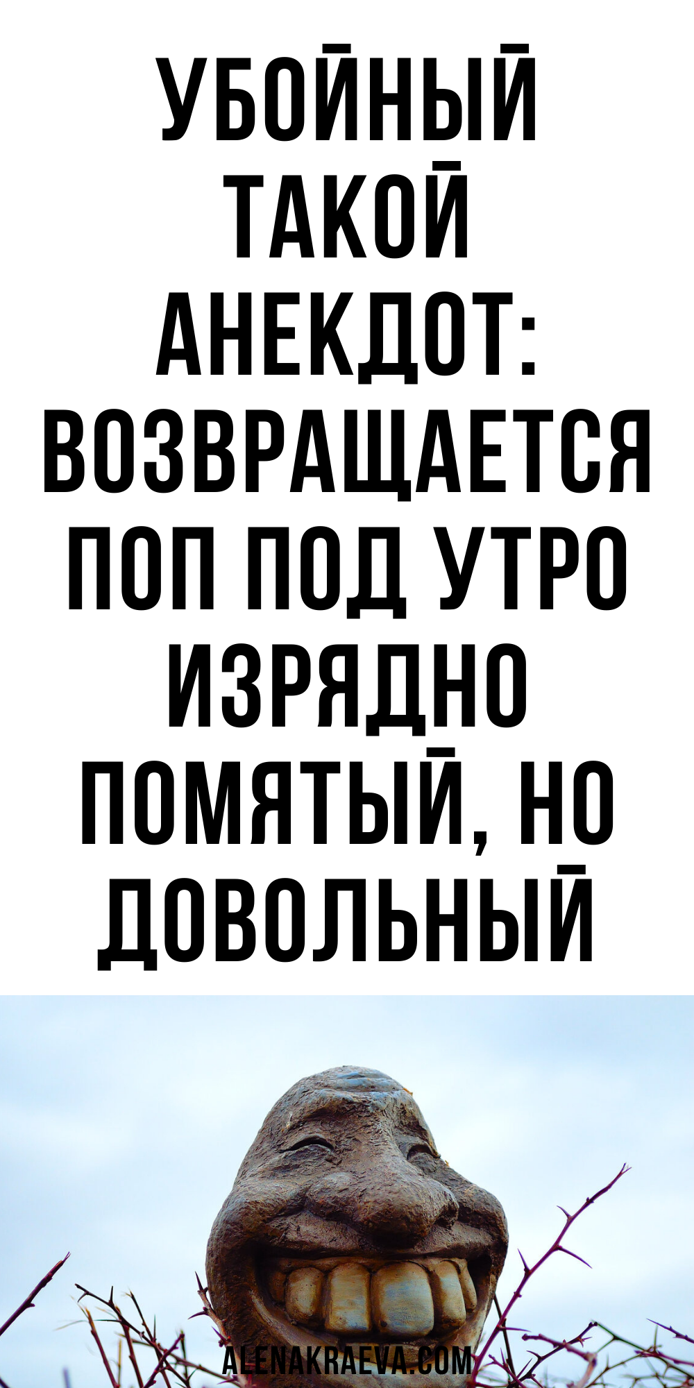 Шашлычок на кухне