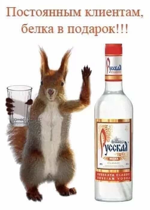 Сорок градусов (Алкопост) – ЯПлакалъ