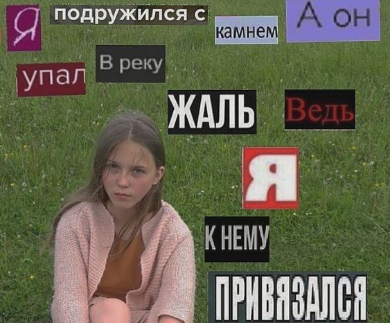 Улыбнись: Коллекция Забавных Фото, Шуток и Цитат для Настроения!