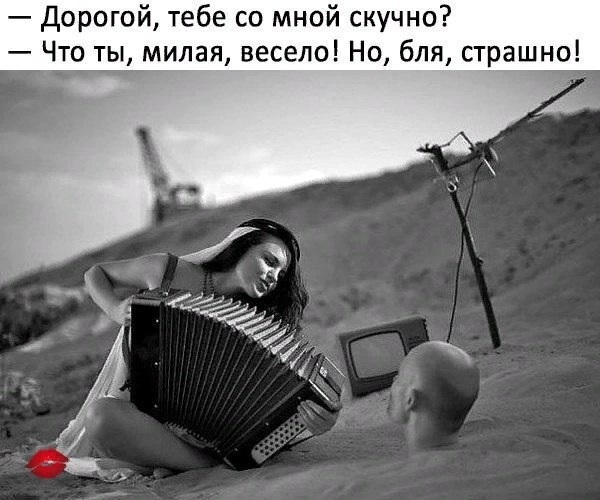 Лента по интересам – Юмор – 1620772 – Tabor.ru