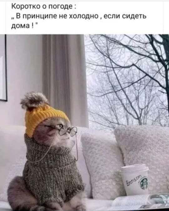 Коротко о погоде ..В принципе не холодно если сидеть дома!” – АйДаПрикол