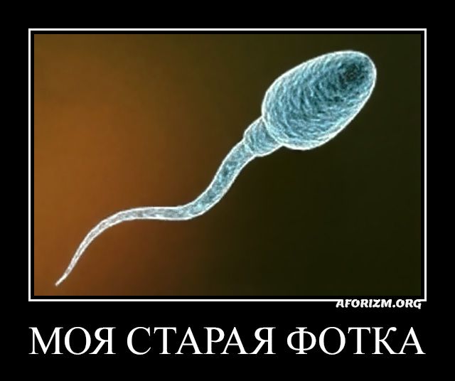 Моя старая фотка…