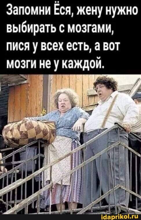 Запомни Ёся, жену нужно выбирать с мозгами, пися у всех есть, а вот мозги не у каждой. – АйДаПрикол