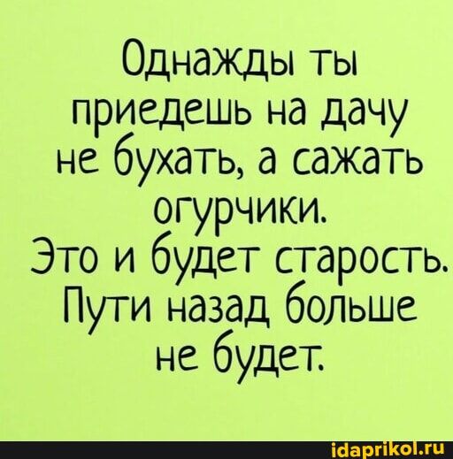 Однажды ты приедешь на дачу не бухать, а сажать огурчики. Это и будет старость. Пути назад больше не будет. – АйДаПрикол