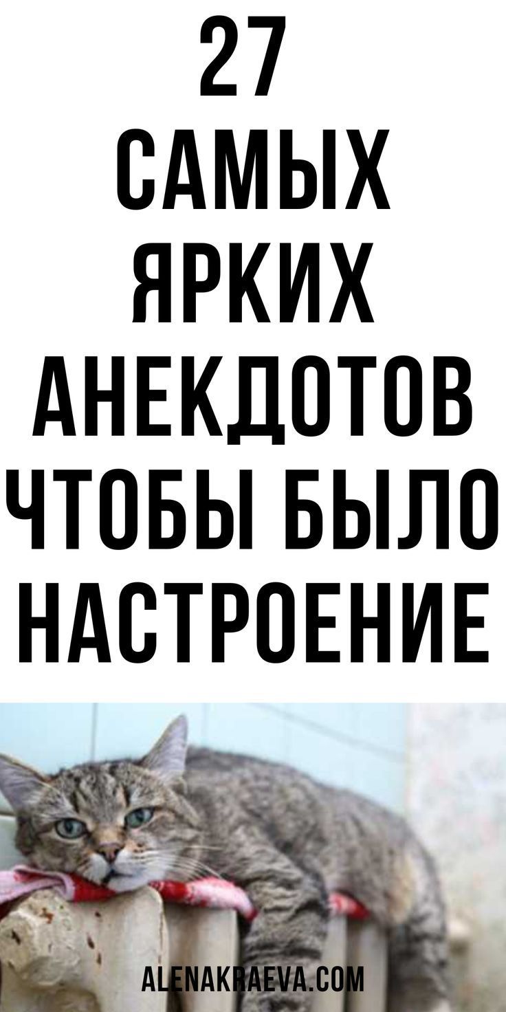 27 самых ярких анекдотов из самой Одессы, юмор | alenakraeva.com