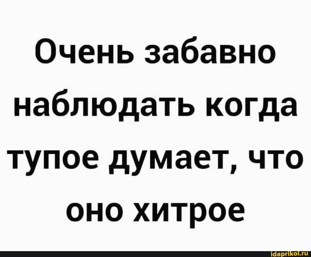 Очень забавно наблюдать когда тупое думает, что оно хитрое – АйДаПрикол