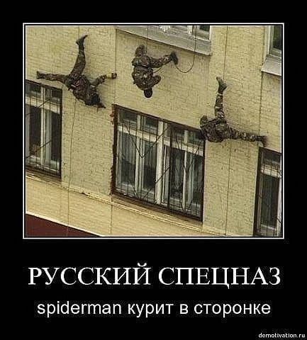 Занимательные приколы, которые поднимут настроение!