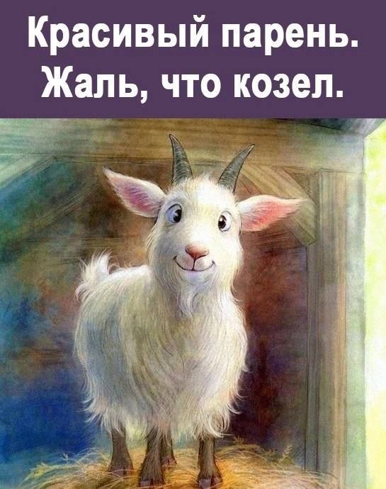 Мем Мемы Женский Юмор Смех Смешные Картинки Поржать Приколы Демотиваторы Сарказм Шутки Анекдоты