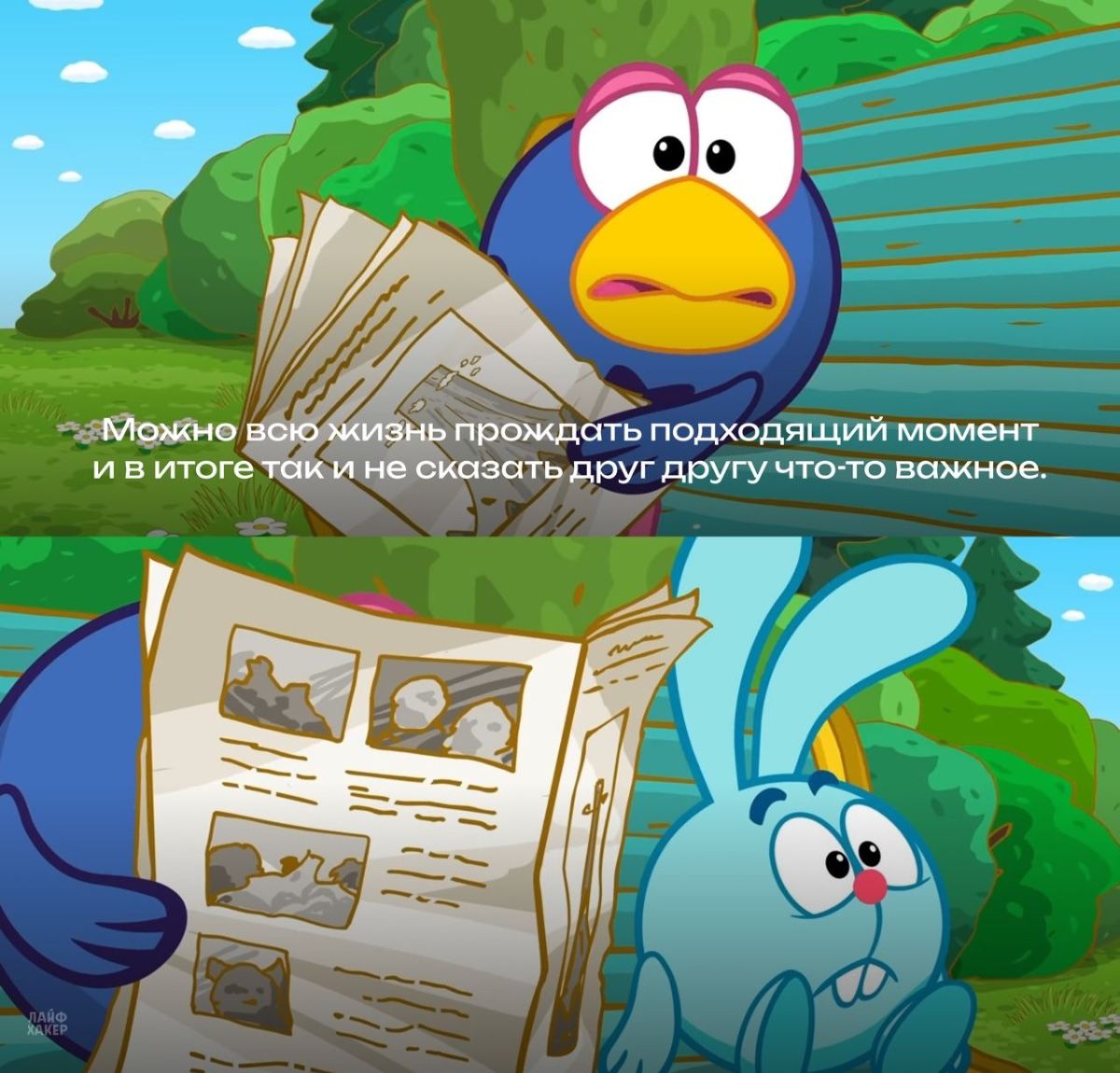 Мудрая цитата из Смешариков