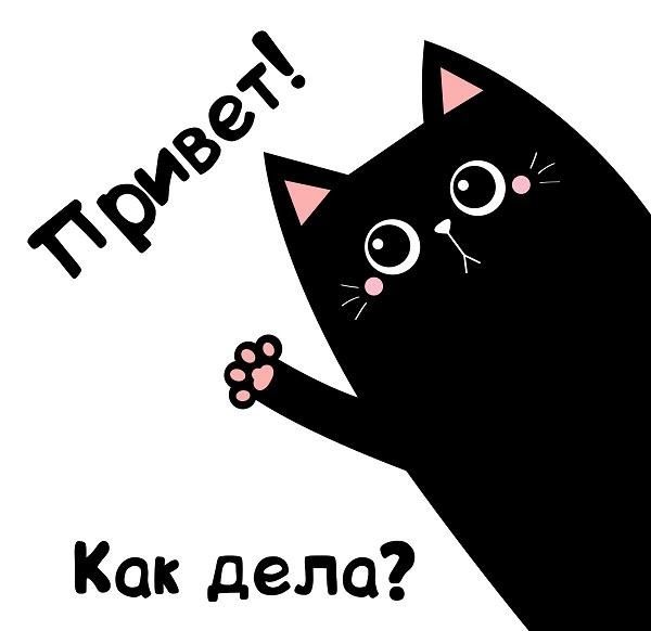 Короткие ответы на вопрос \