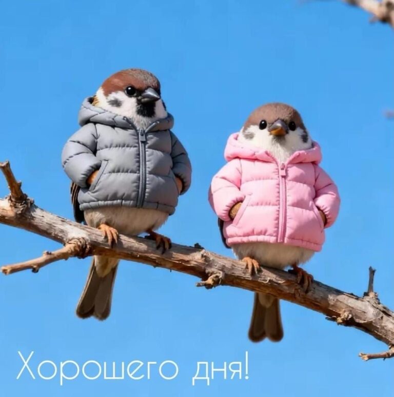 хорошего дня