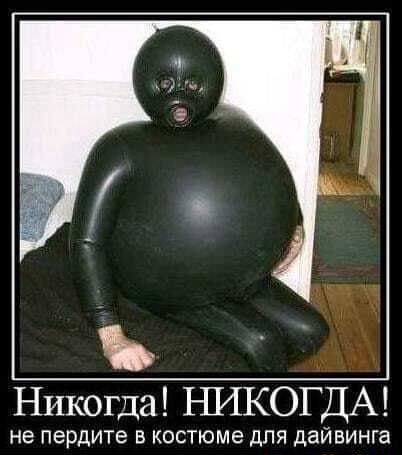 Никогда! НИКОГДА! – АйДаПрикол