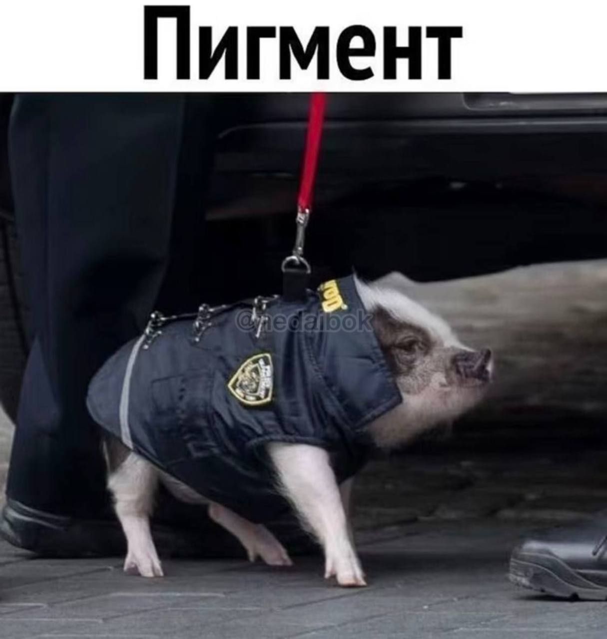 СОЗДАТЬ ЭМОДЗИ СТИКЕРЫ | КРУЖОК ИЗ ВИДЕО