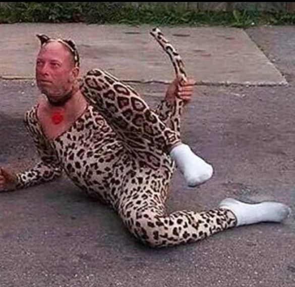 кто тигрицу потерял