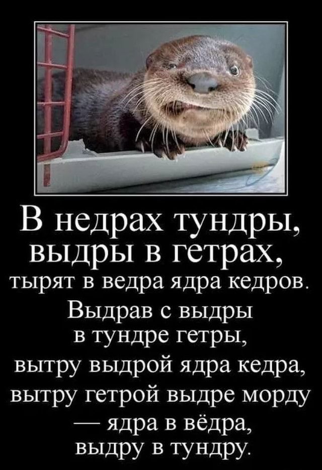 Недрах тундры, выдры в гетрах, тырят в ведра ядра кедров. Выдрав с выдры тундре гетры, вытру выдрой ядра кедра, вытру гетрой выдре морду – ядра в вёдра, выдру в тундру. – АйДаПрикол