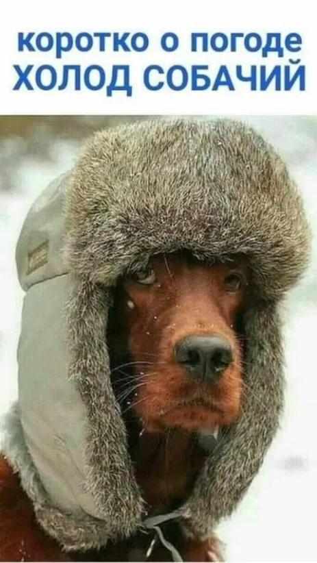 Социальная сеть Одноклассники. Общение с друзьями в ОК. Ваше место встречи с одноклассниками