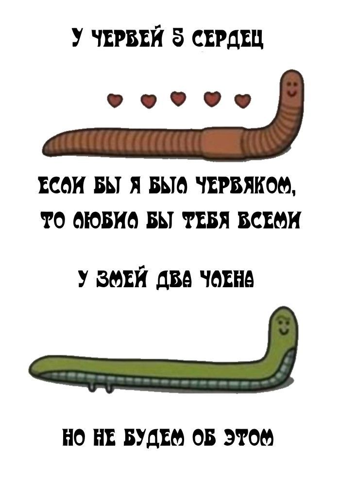 Удивительные мемы и увлекательные факты для поднятия настроения!