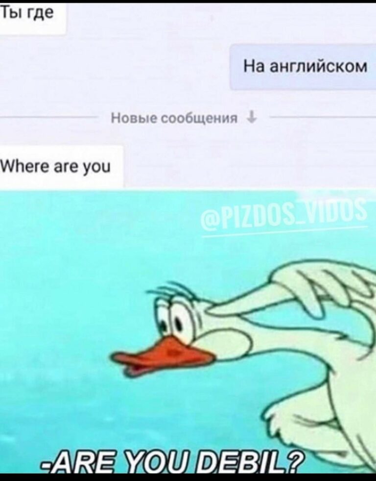 Мемы гусь