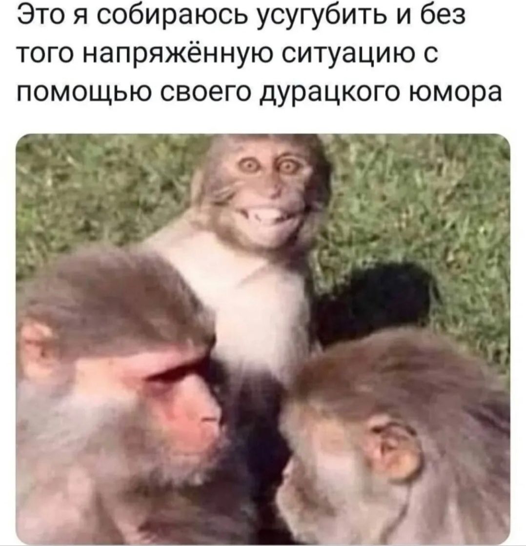 Мемы про юмор