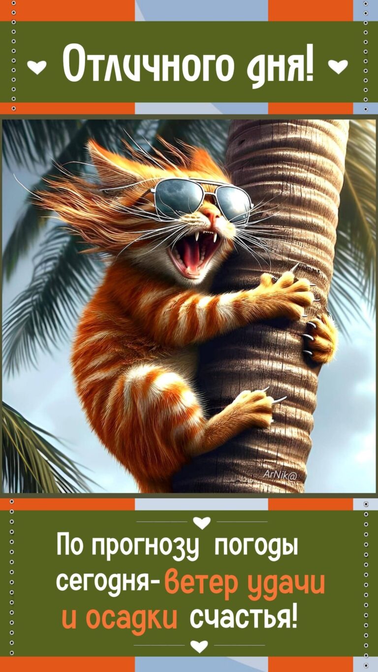 Отличного дня!😻🍀🌷