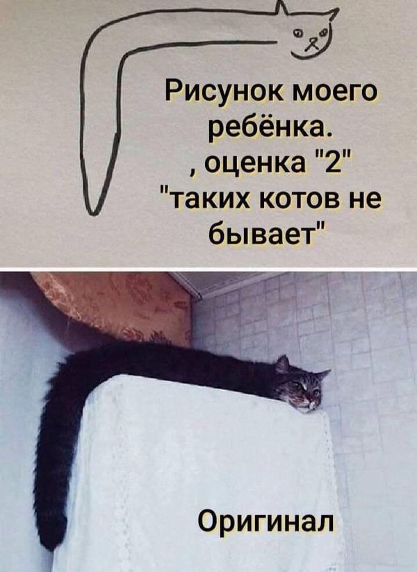 ВДАЛИ ОТ БЫТА- ПЕЧАЛЬ ЗАБЫТА | Бывает, оказывается…😆🔥👍😁 | Facebook