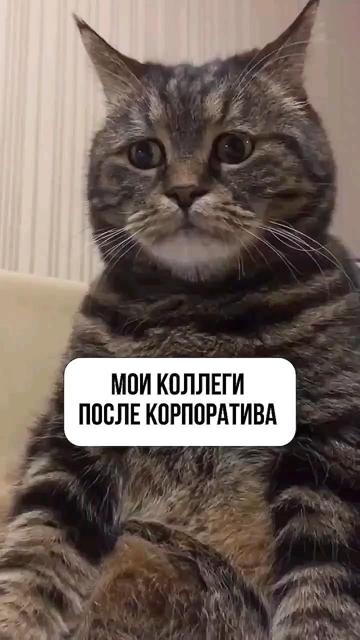 Ох уж эти корпоративы.