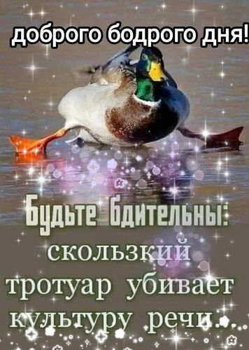 Доброго дня!☺️⛄