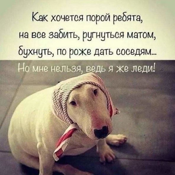 Интернет Магазин Женской Одежды Модная