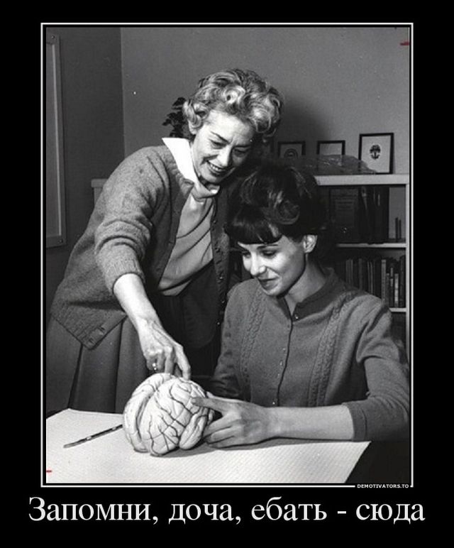 Самые прикольные демотиваторы недели (50 фото)