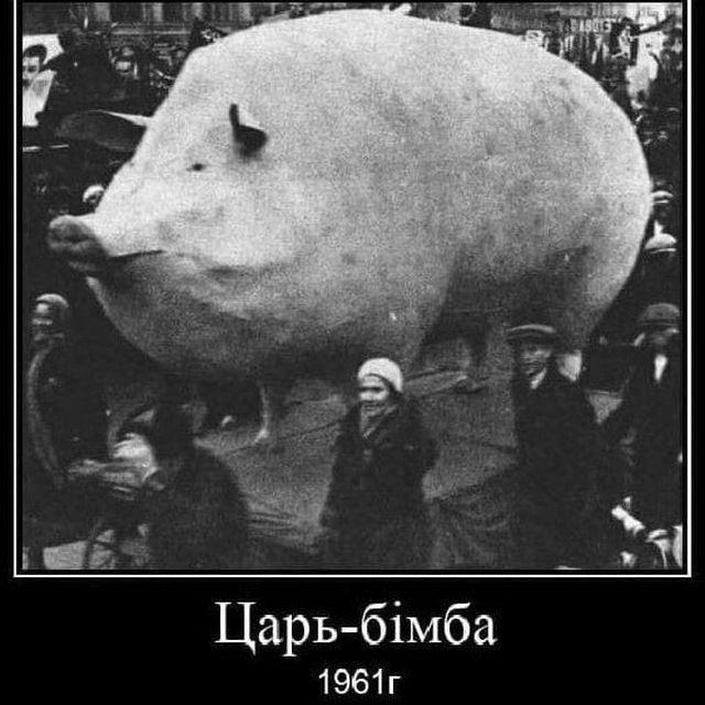 та самая одноклассница снимает тикток