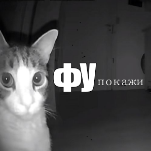 котик мем фу покажи тикток мем