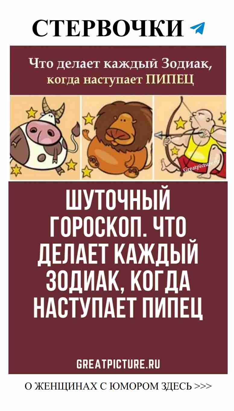 Как Зодиак реагирует на любовные катастрофы в шутках