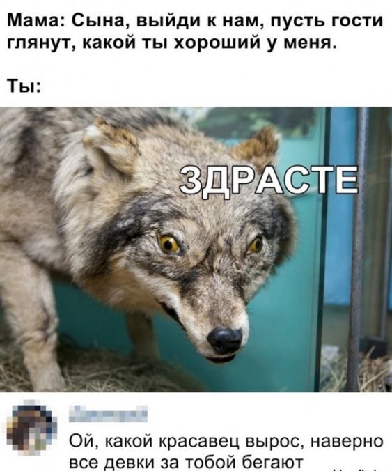 картинки смешные828