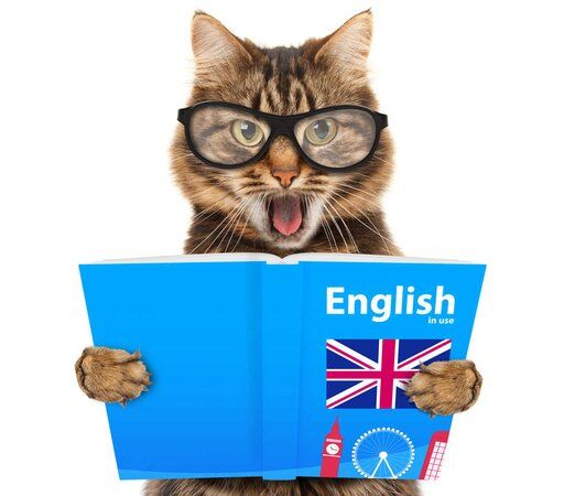 Английский язык в картинках на разные темы для детей и взрослых