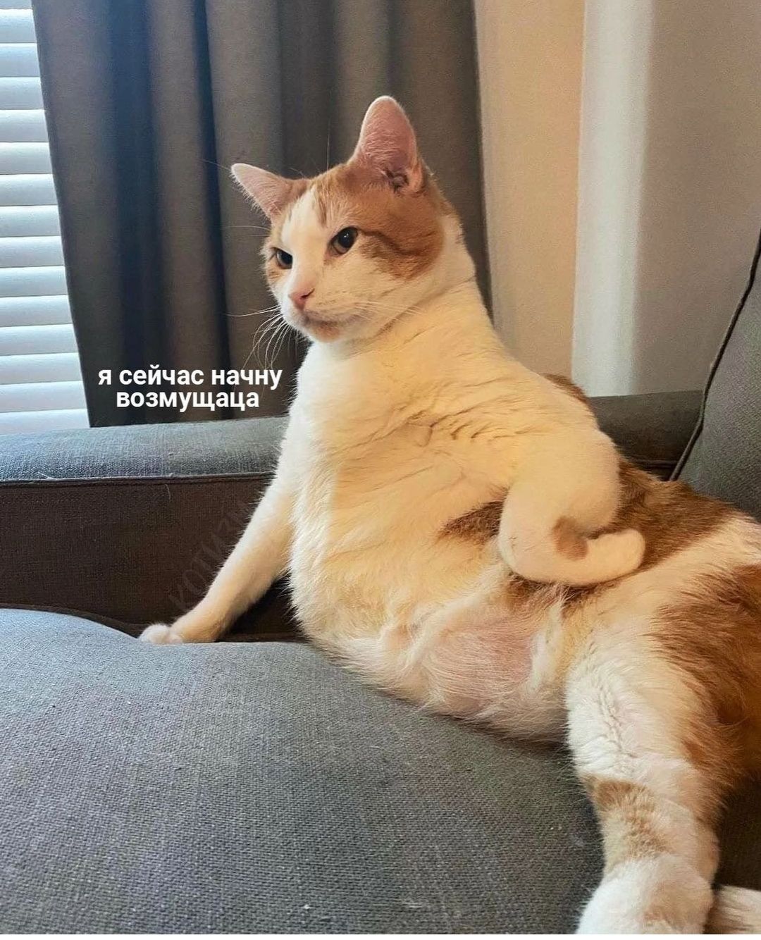 щас буду возмущацо